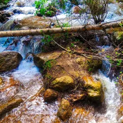 North Cheyenne Cañon Park - Colorado Springs