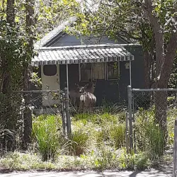 Old Colorado City Historic District - Colorado Springs