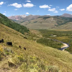 East River Trail - Crested Butte