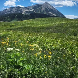 Snodgrass Mountain Trail - Crested Butte