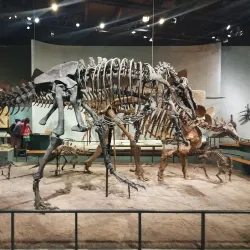 Denver Museum of Nature & Science - Denver