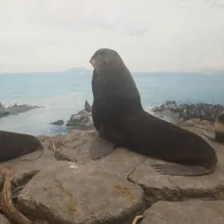 Denver Museum of Nature & Science - Denver
