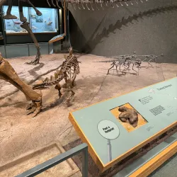 Denver Museum of Nature & Science - Denver