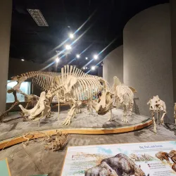 Denver Museum of Nature & Science - Denver