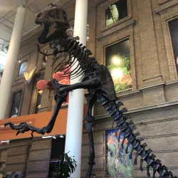 Denver Museum of Nature & Science - Denver