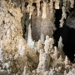 Denver Museum of Nature & Science - Denver