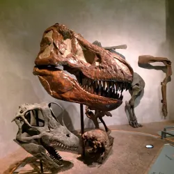 Denver Museum of Nature & Science - Denver