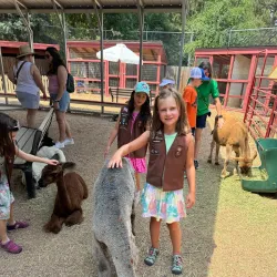 Belleview Park - Englewood