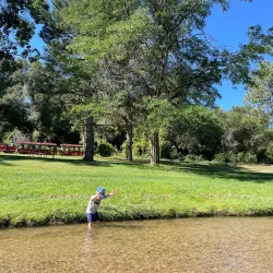 Belleview Park - Englewood