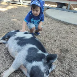 Belleview Park - Englewood