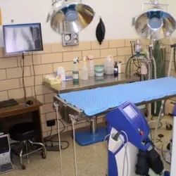 Cherrelyn Animal Shelter - Englewood