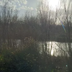 Mary Carter Greenway Trail - Englewood