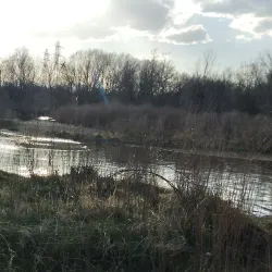 Mary Carter Greenway Trail - Englewood