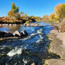 Mary Carter Greenway Trail - Englewood