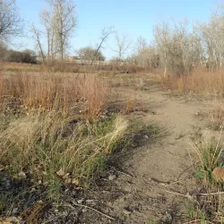 Mary Carter Greenway Trail - Englewood