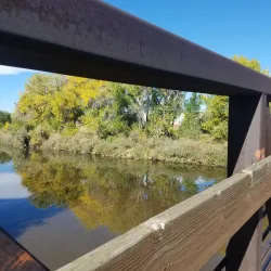 Mary Carter Greenway Trail - Englewood
