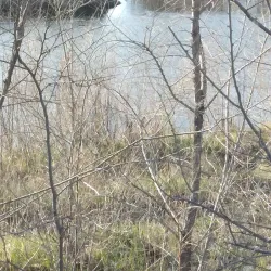 Mary Carter Greenway Trail - Englewood