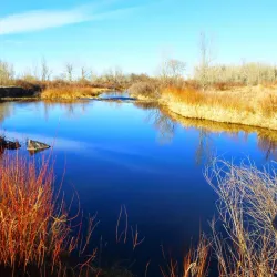 South Platte Park and Carson Nature Center - Englewood