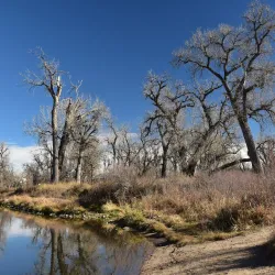 South Platte Park and Carson Nature Center - Englewood