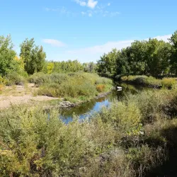 South Platte Park and Carson Nature Center - Englewood