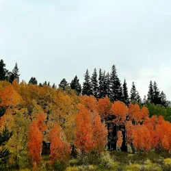 Alma, Colorado - Fairplay