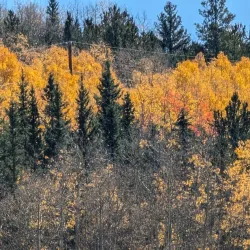 Kenosha Pass - Fairplay