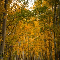 Kenosha Pass - Fairplay
