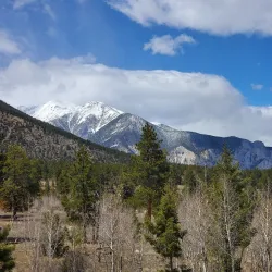 Pike National Forest - Fairplay