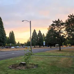 City Park - Fort Collins