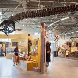 Fort Collins Museum of Discovery - Fort Collins