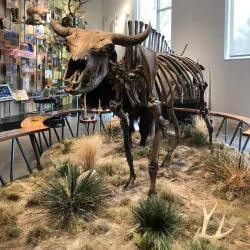 Fort Collins Museum of Discovery - Fort Collins