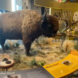 Fort Collins Museum of Discovery - Fort Collins