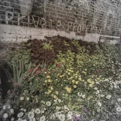 Old Town Fort Collins - Fort Collins