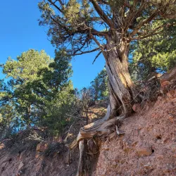Doc Holliday's Grave - Glenwood Springs