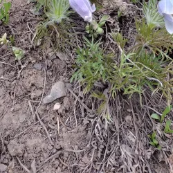 Sunlight Mountain Resort - Glenwood Springs