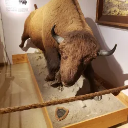 Buffalo Bill Museum and Grave - Golden