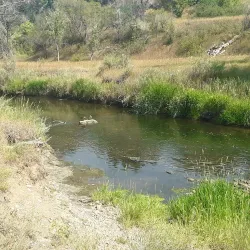 Clear Creek Trail - Golden