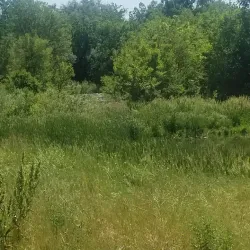 Clear Creek Trail - Golden