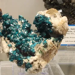 Colorado School of Mines Geology Museum - Golden