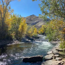 Downtown Golden - Golden