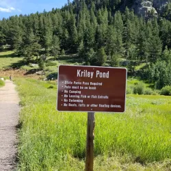 Golden Gate Canyon State Park - Golden