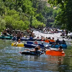 Parfet Park - Golden