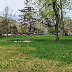 Parfet Park - Golden