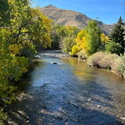 Parfet Park - Golden