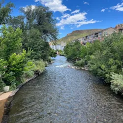 Parfet Park - Golden