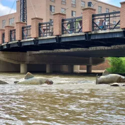 Parfet Park - Golden