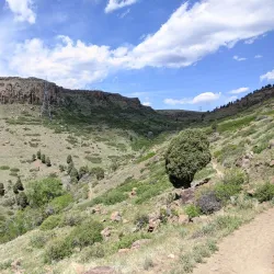 Table Mountain - Golden