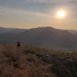 Table Mountain - Golden