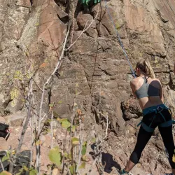 Table Mountain - Golden