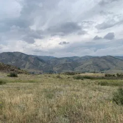 Table Mountain - Golden